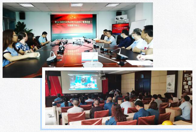 1631589876154656.jpg 016.jpg